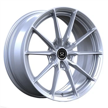 19-calowe 1-częściowe koła srebrne tarcze do kutych luksusowych wklęsłych felg Audi S3 Monoblock